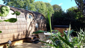 Cabane en bois avec bain nordique et sauna